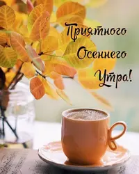 f4b51d2742c98086240f840b222f936e.webp