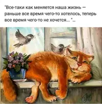 550191476_18531982690034393_952379936172620344_n.webp