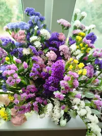 IMG_20250920_102656.webp