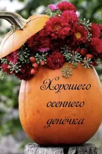 IMG_5769.webp