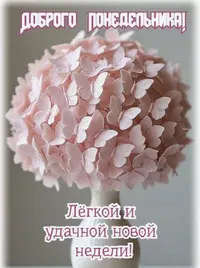IMG_5808.webp