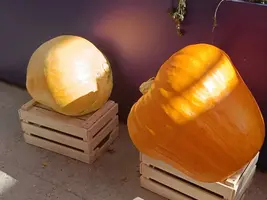 20250922125119.webp