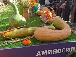 20250922125138.webp