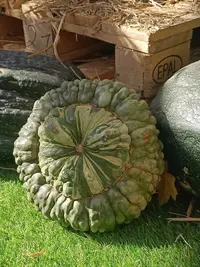 20250922125412.webp