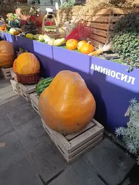 20250922125501.webp