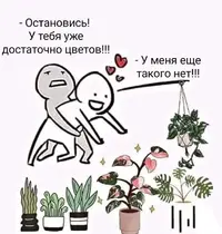 61d47d6dc0e256aeb716af8d6528b86d (1).webp