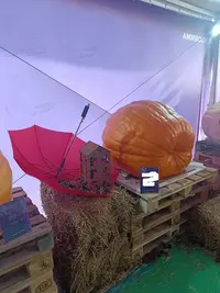 20250922130200.webp
