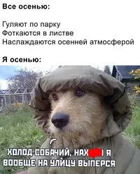 6953708.webp