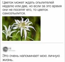 1000039626.webp