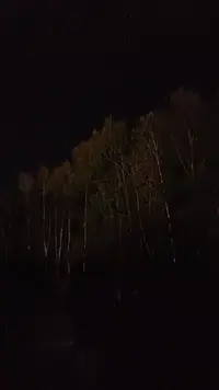 IMG20250926201842.webp