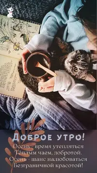 ca0d05b51505d3f3a7c86580474320af.webp