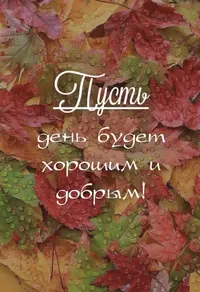 IMG_5969.webp