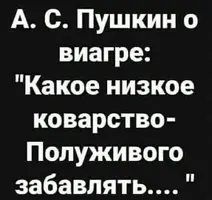 IMG_5947.webp