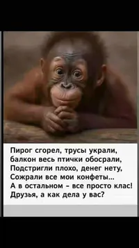 imgonline-com-ua-Resize-w8PfMiaFMpRN2.webp