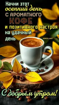 1000141703.webp