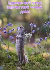 l4Fd4FkOtJ4.webp