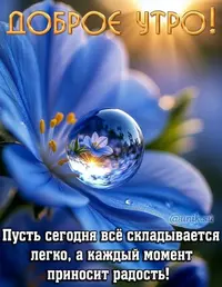 910_221329_806.webp