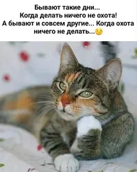 imgonline-com-ua-Resize-TBcMKXEL6OLxCz9k.webp