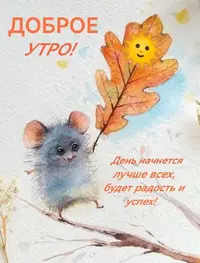 55f20565783cb8d8b15a8f82dec0b66a.webp