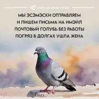 50905_095144.webp
