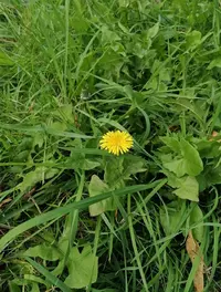 20250930_165723.webp