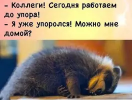 9b7dac873e674772bb595ddd47624619.webp