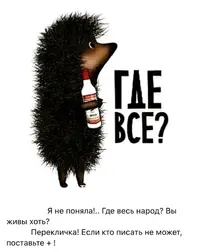 8411ff60e7524f45d3bcb616b34227ec.webp
