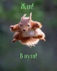 915c3cf7dda7ba39bc9f749926d36e49.webp