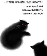 6bd14e0fd7de41440a948e903bde60fb.webp