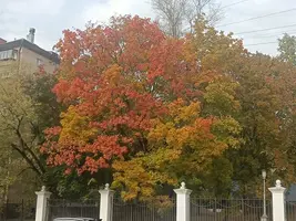 20251003120055.webp
