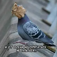 9803bd2320652541516af3ba08b79722.webp