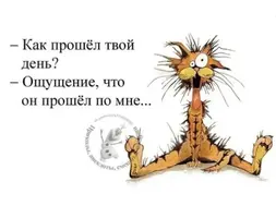i.webp