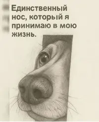 1000004488.webp 1000004488.webp