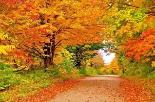put_672x3104.webp