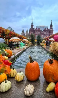IMG_20251004_135417.webp