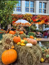 IMG_20251004_135354.webp