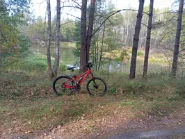 IMG_20251004_122814.webp