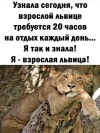 IMG_6203.webp
