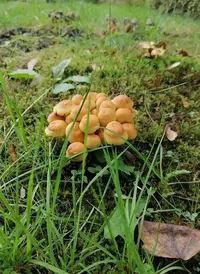 20251005_123802.webp