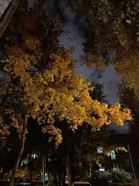 20251004193730.webp