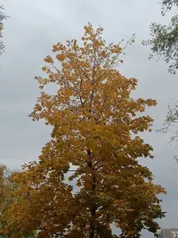 20251005124606.webp