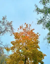 20251005130228.webp