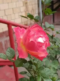 20251005123426.webp