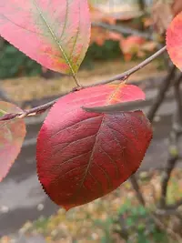 20251005124319.webp