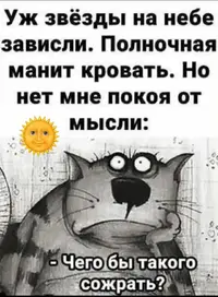 IMG_20251004_123536.webp