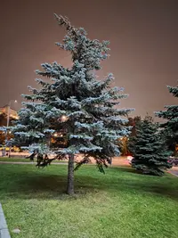 20251005_185007.webp