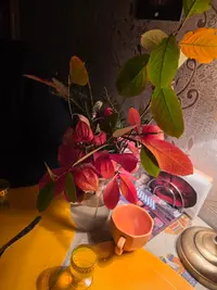 20251005_202349.webp