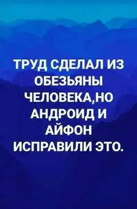 1000004507.webp