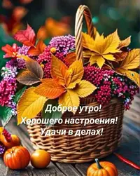 imgonline-com-ua-Resize-YdKtybYUjrSiIG.webp