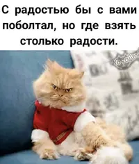 IMG_6239.webp